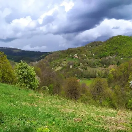 Smestaj Jevtic Krepoljin